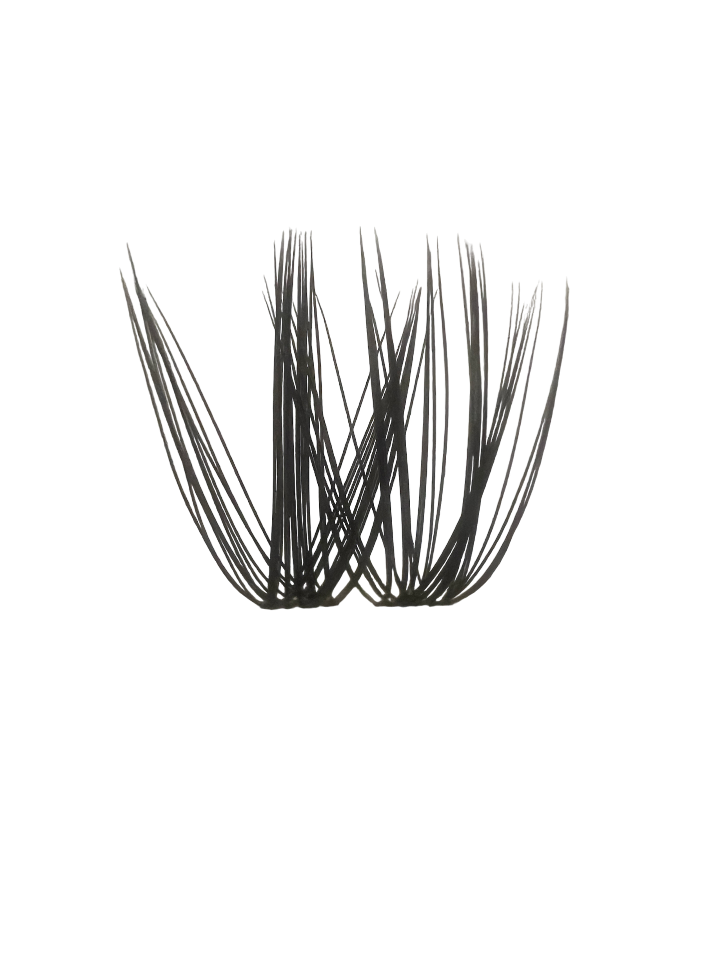 Easy Glam Eyelash Deluxe Kit