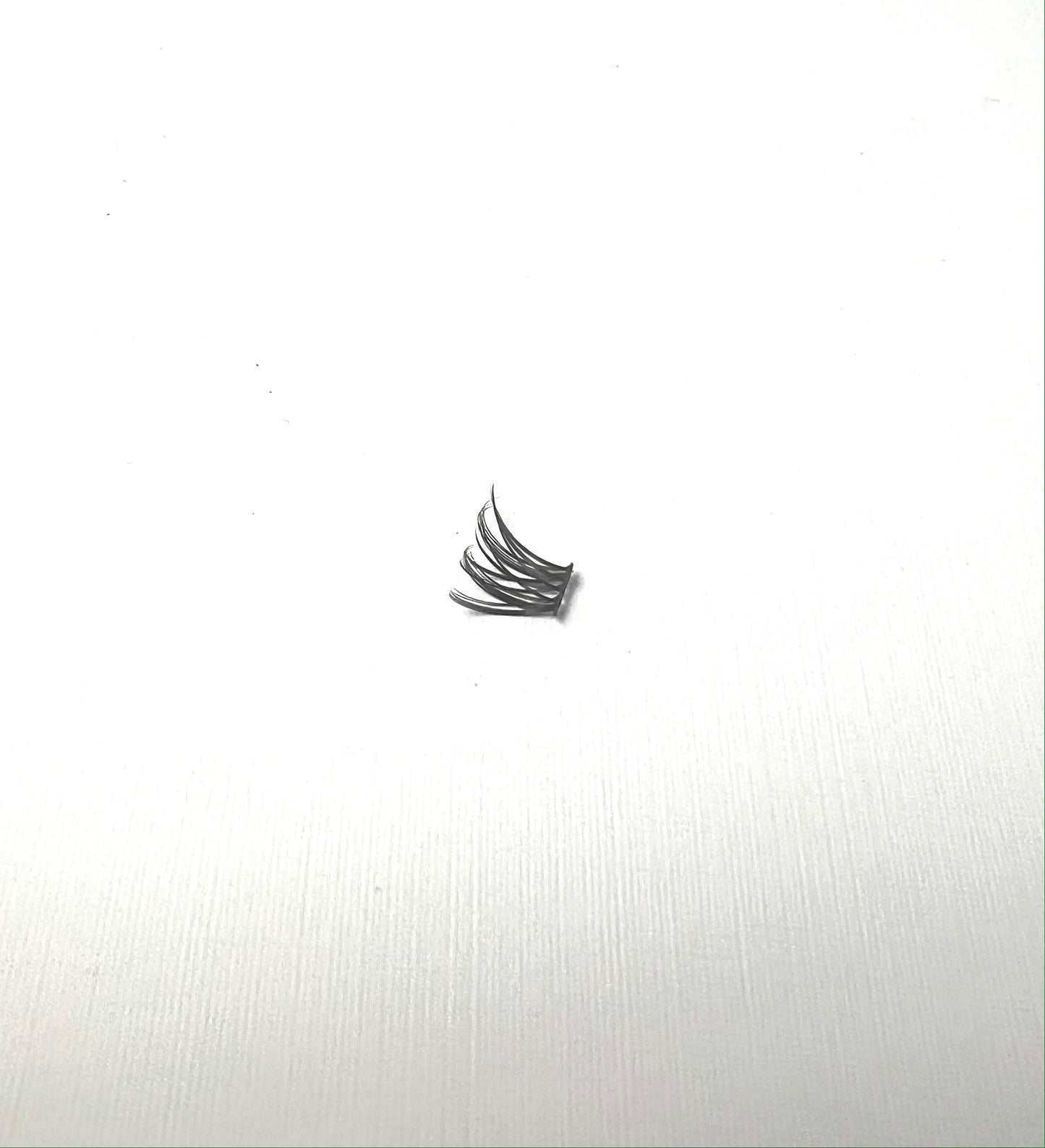 Easy Glam Single Lash Wispy