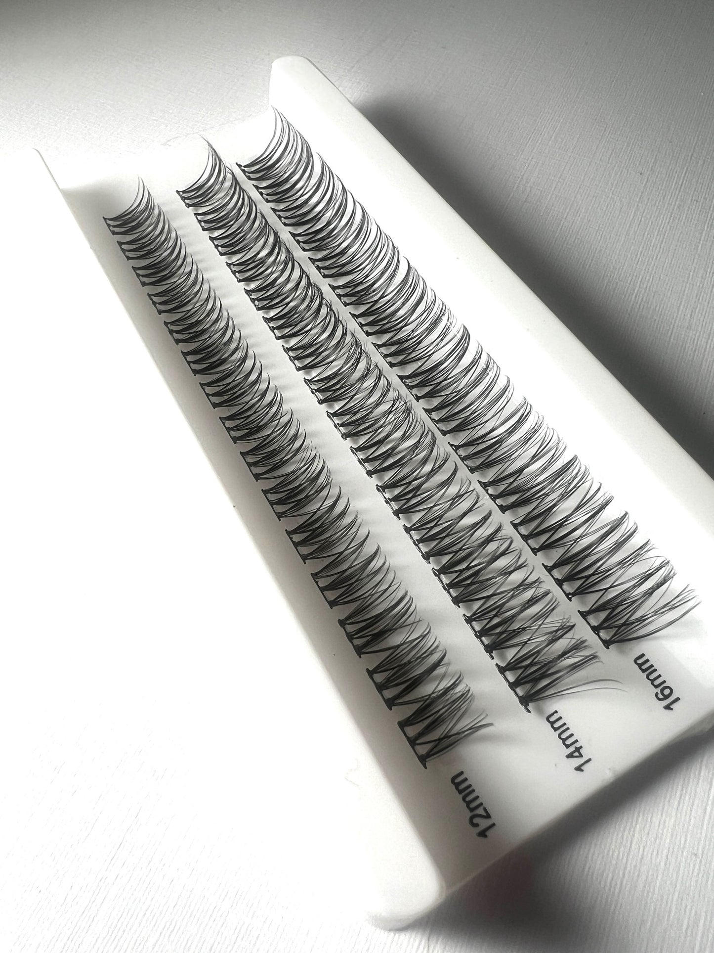 Elevated-Essentials Collection