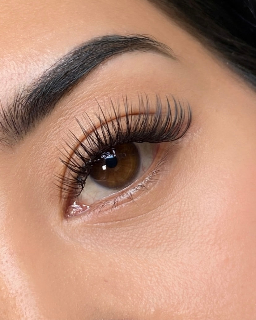 Elevated-Essentials Collection