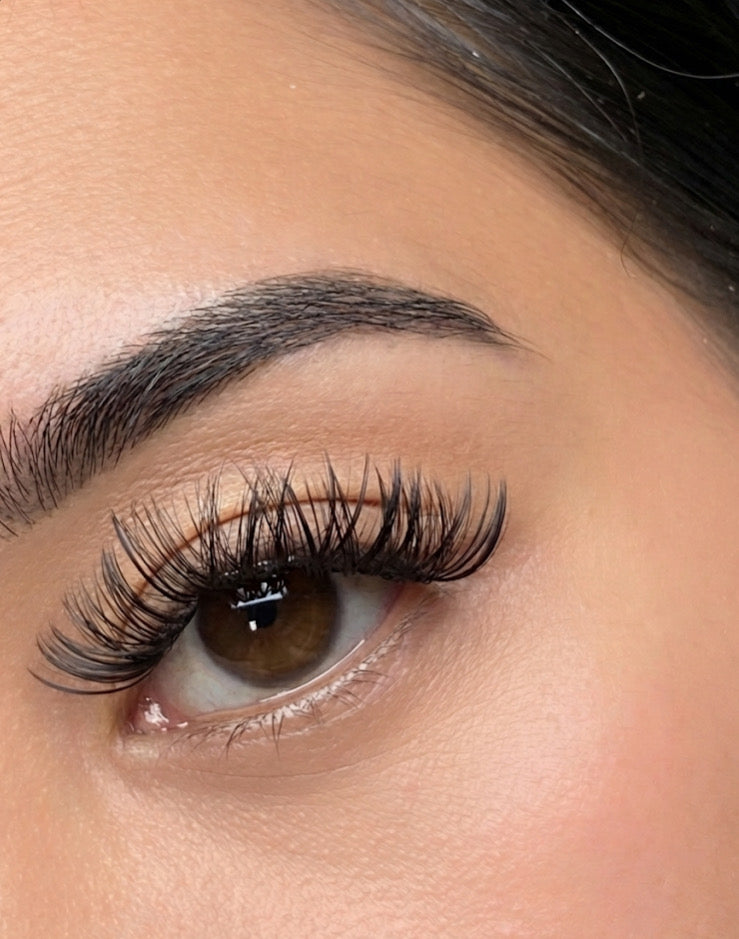 Vixen- Icons Collection