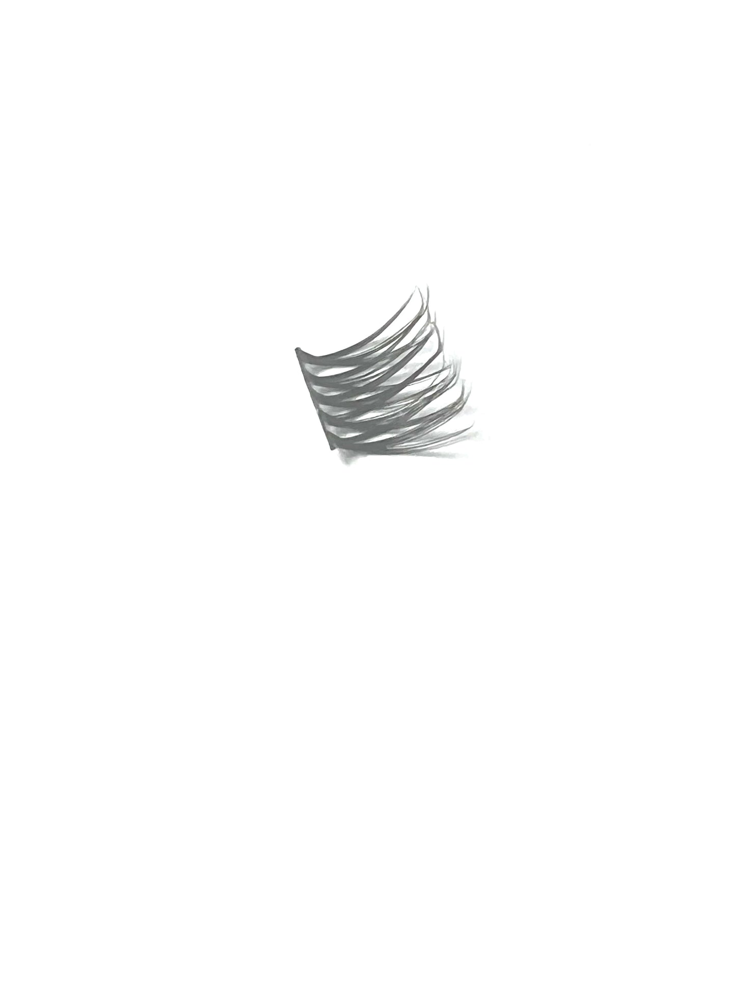 Easy Glam Single Lash Peak Perfect