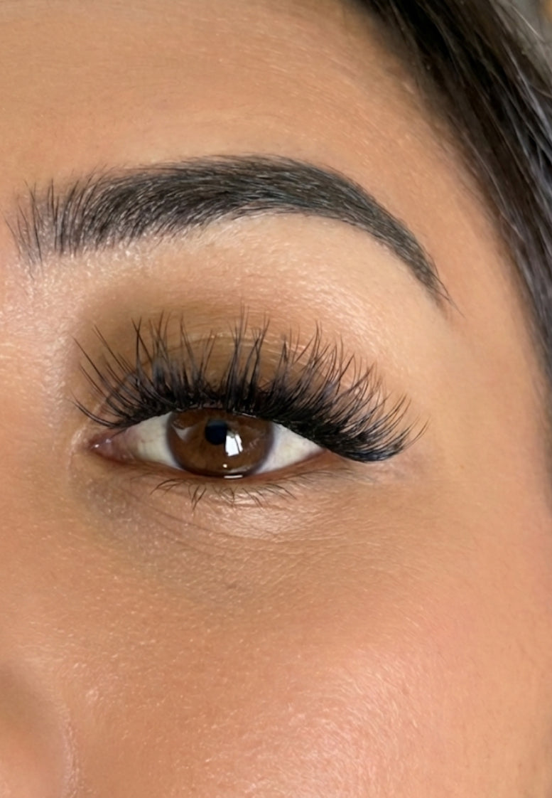 Quiet Luxe -Essentials Collection