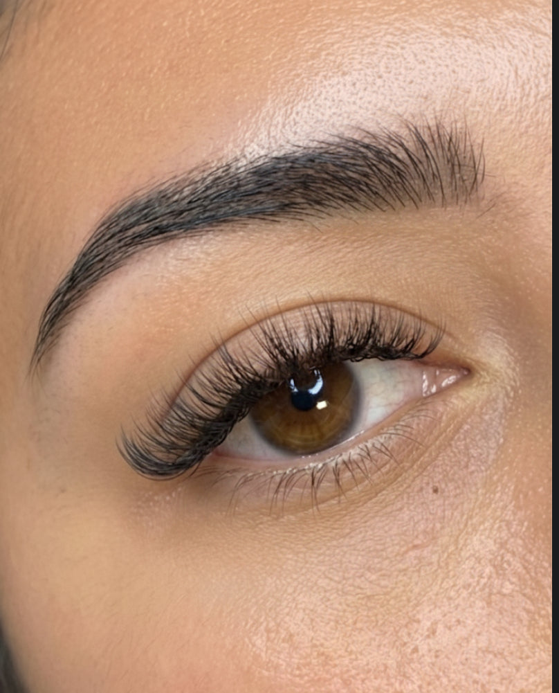 Sphynx-Icons Collection